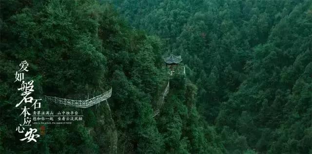 聚焦高品质消费和产业联动协同推进国际消费中心城市建设