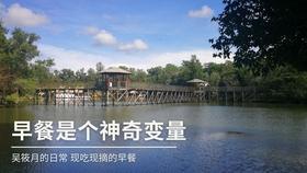 蓝色小球入袋